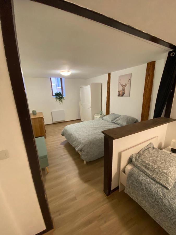 Centre Historique Apartment Riquewihr